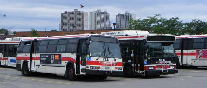 Toronto Transit Commission Orion VII Hybrid 1036